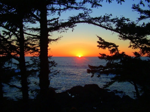 Ucluelet 001